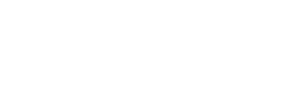 BridgeUSA